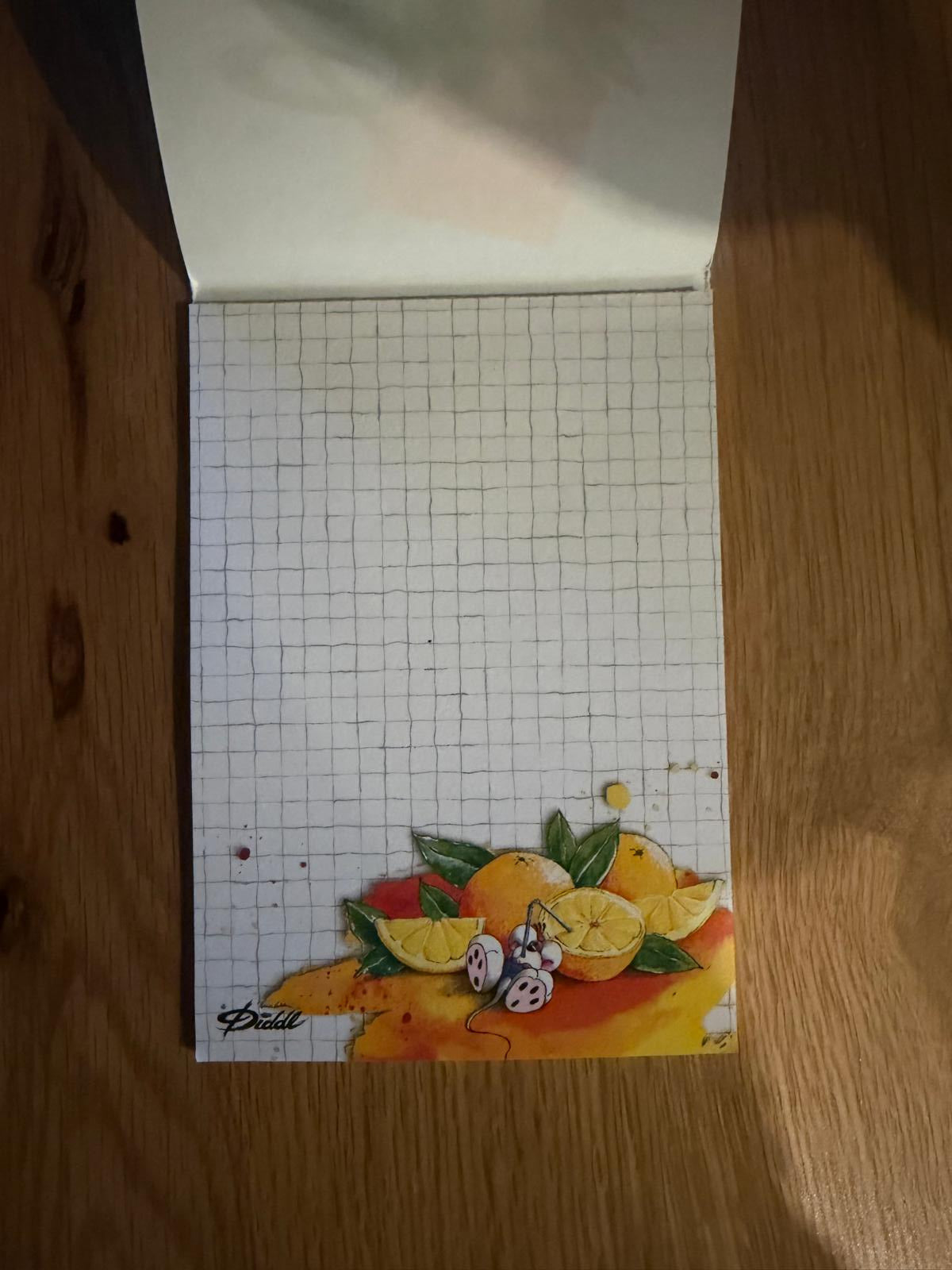 Diddl Block A6 „Orange“ – Innenseite mit kariertem Blatt